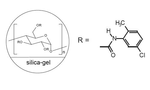 FLM Chiral NY(2) FLM Chiral NY(2)