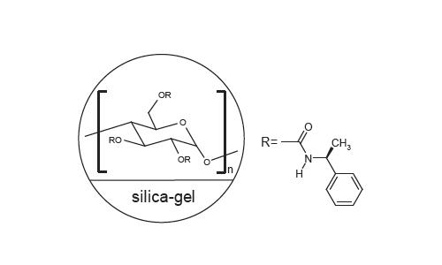 FLM Chiral NS(2) FLM Chiral NS(2)