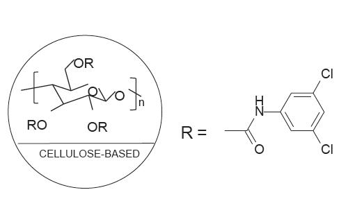 FLM Chiral INC FLM Chiral INC