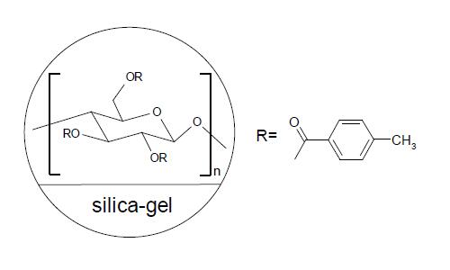 FLM Chiral NS(2) FLM Chiral NS(2)